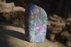 Polished Rare Purple Flash Labradorite Standing Free Forms x 3 From Tulear, Madagascar - Toprock Gemstones and Minerals 