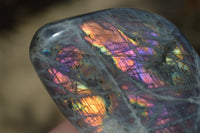 Polished Rare Purple Flash Labradorite Standing Free Forms x 3 From Tulear, Madagascar - Toprock Gemstones and Minerals 