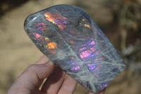 Polished Rare Purple Flash Labradorite Standing Free Forms x 3 From Tulear, Madagascar - Toprock Gemstones and Minerals 