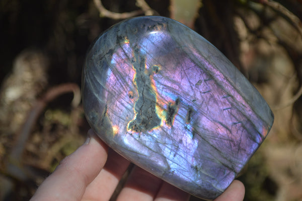 Polished Rare Purple Flash Labradorite Standing Free Forms x 3 From Tulear, Madagascar - Toprock Gemstones and Minerals 