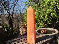 Polished Large Orange Twist Calcite Tower x 1 From Maevantanana, Madagascar - Toprock Gemstones and Minerals 