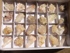 Natural White Phantom Quartz Specimens  x 24 From Madagascar - Toprock Gemstones and Minerals 