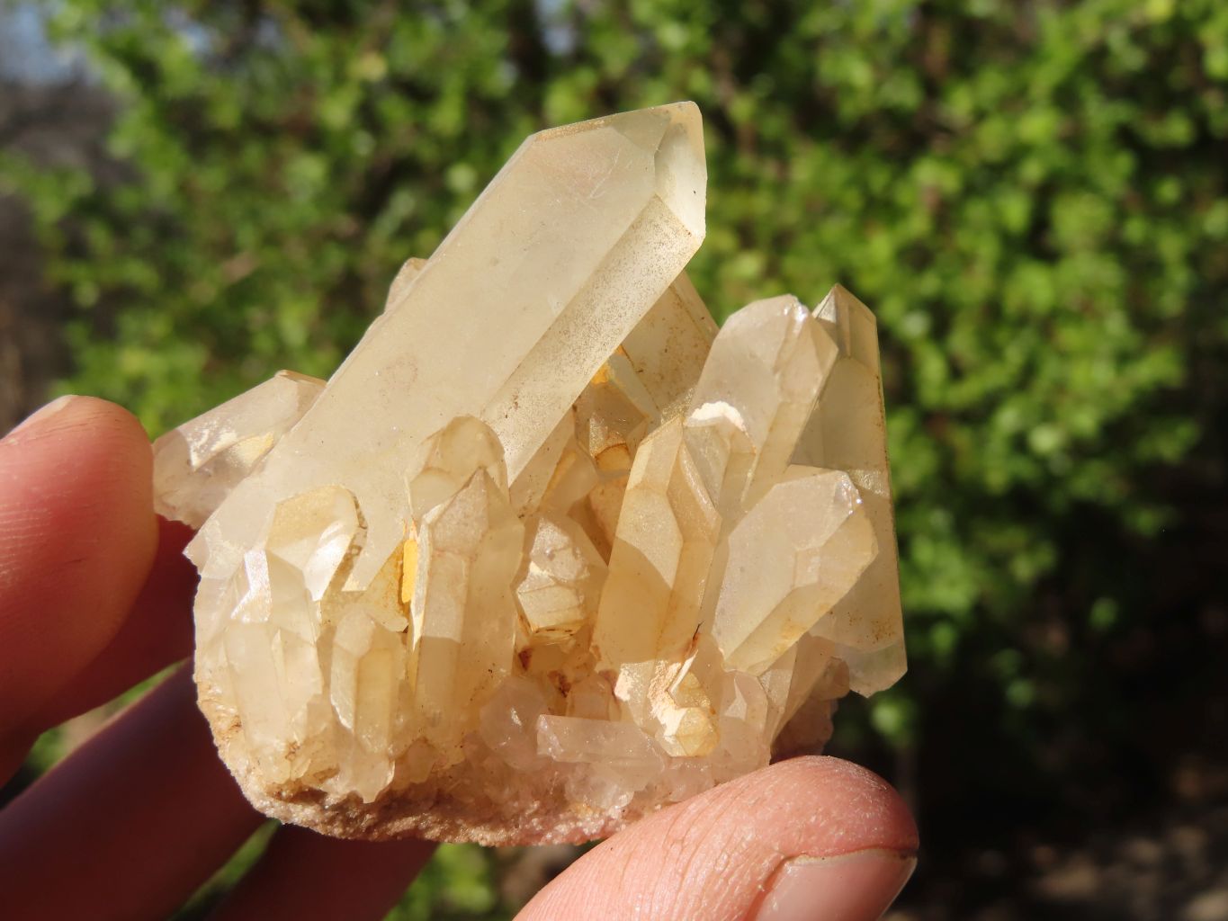 Natural White Phantom Quartz Specimens  x 24 From Madagascar - Toprock Gemstones and Minerals 