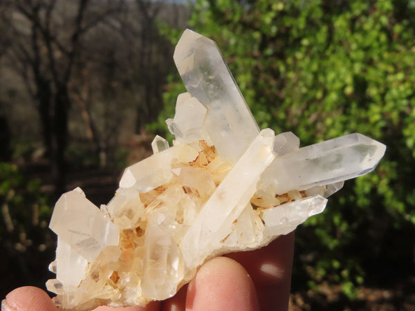 Natural White Phantom Quartz Specimens  x 24 From Madagascar - Toprock Gemstones and Minerals 