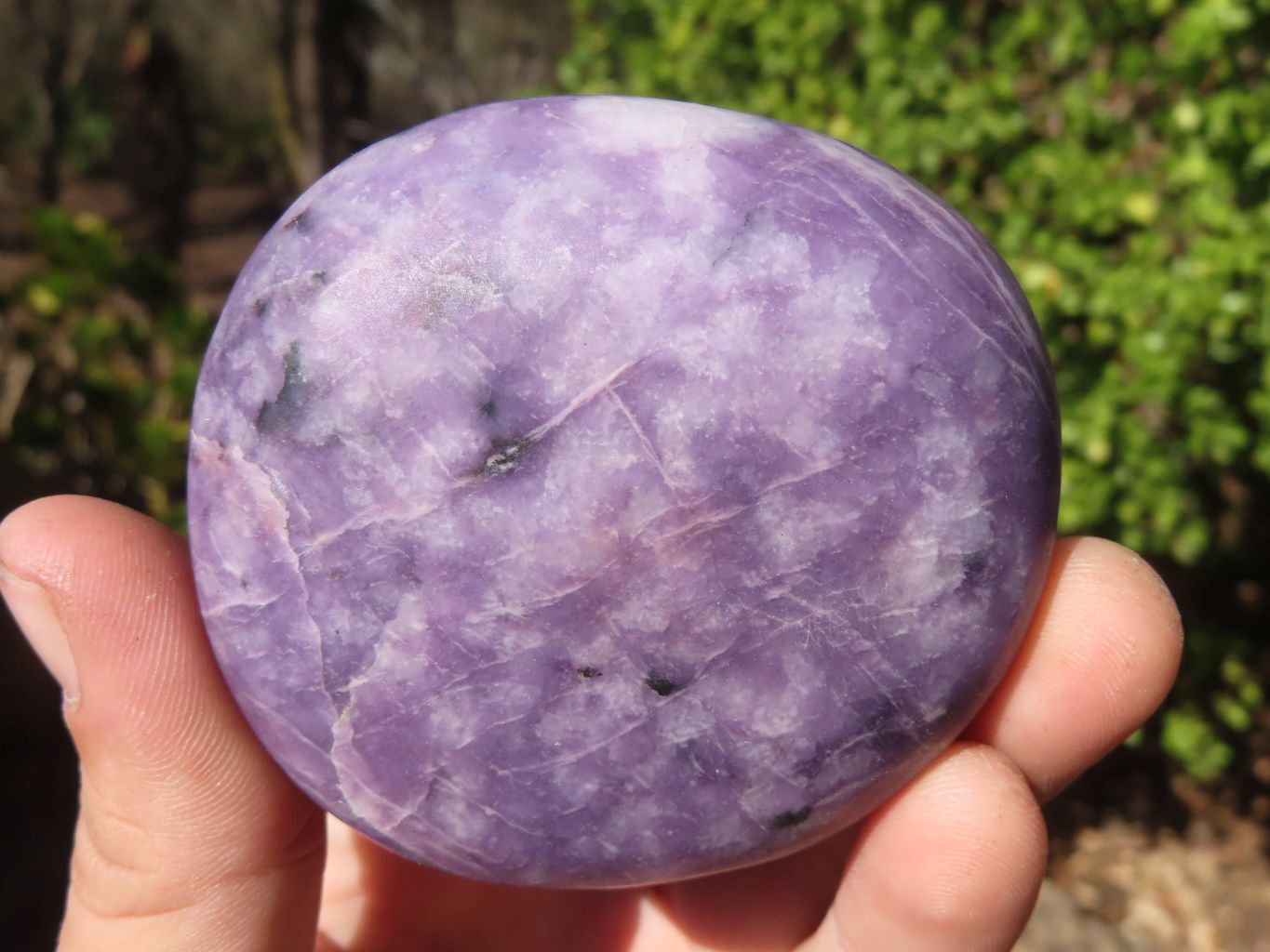 Polished Purple Lepidolite Galets  x 6 From Zimbabwe - Toprock Gemstones and Minerals 