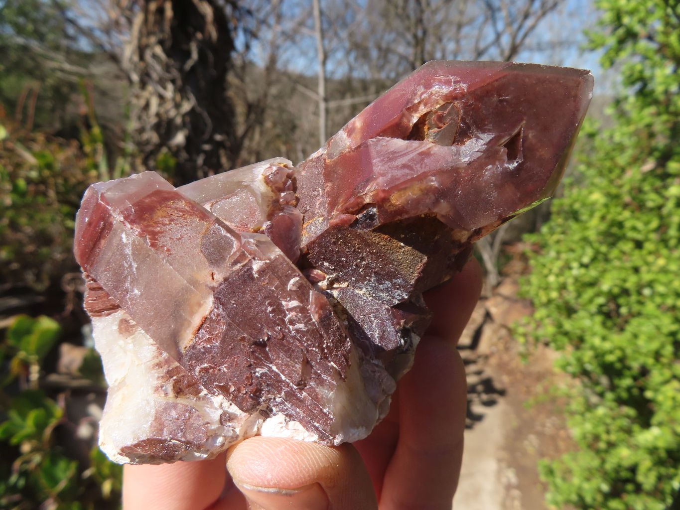 Natural Red Hematoid Quartz Specimens x 12 From Karoi, Zimbabwe - Toprock Gemstones and Minerals 