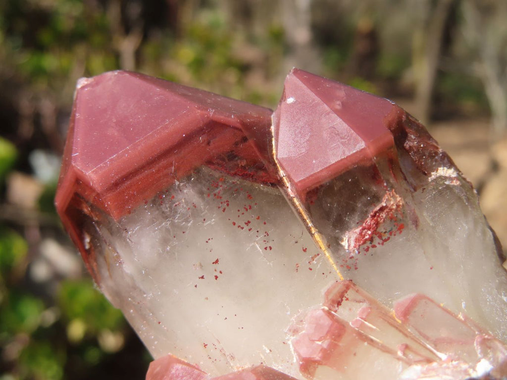 Natural Red Hematoid Quartz Specimens x 12 From Karoi, Zimbabwe - Toprock Gemstones and Minerals 