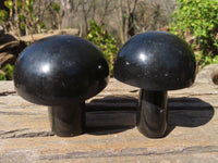 Polished Large Black Basalt Mushrooms x 6 From Madagascar
