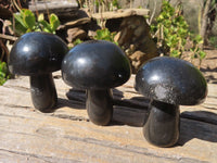 Polished Large Black Basalt Mushrooms x 6 From Madagascar