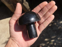 Polished Large Black Basalt Mushrooms x 6 From Madagascar
