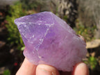 Natural Jacaranda Amethyst Crystals x 35 From Zambia - Toprock Gemstones and Minerals 
