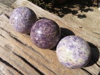 Polished Purple Lepidolite Spheres  x 3 From Madagascar - Toprock Gemstones and Minerals 