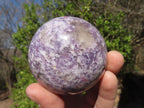 Polished Purple Lepidolite Spheres  x 3 From Madagascar - Toprock Gemstones and Minerals 