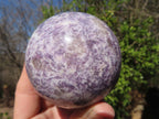 Polished Purple Lepidolite Spheres  x 3 From Madagascar - Toprock Gemstones and Minerals 
