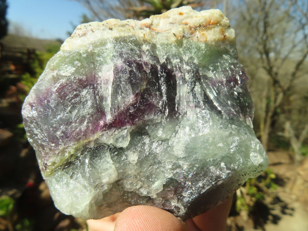 Natural Rough Watermelon Fluorite Cobbed Specimens  x 12 From Uis, Namibia - Toprock Gemstones and Minerals 