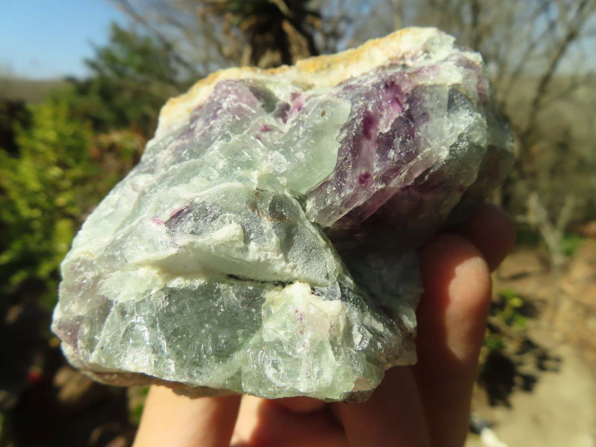 Natural Rough Watermelon Fluorite Cobbed Specimens  x 12 From Uis, Namibia - Toprock Gemstones and Minerals 