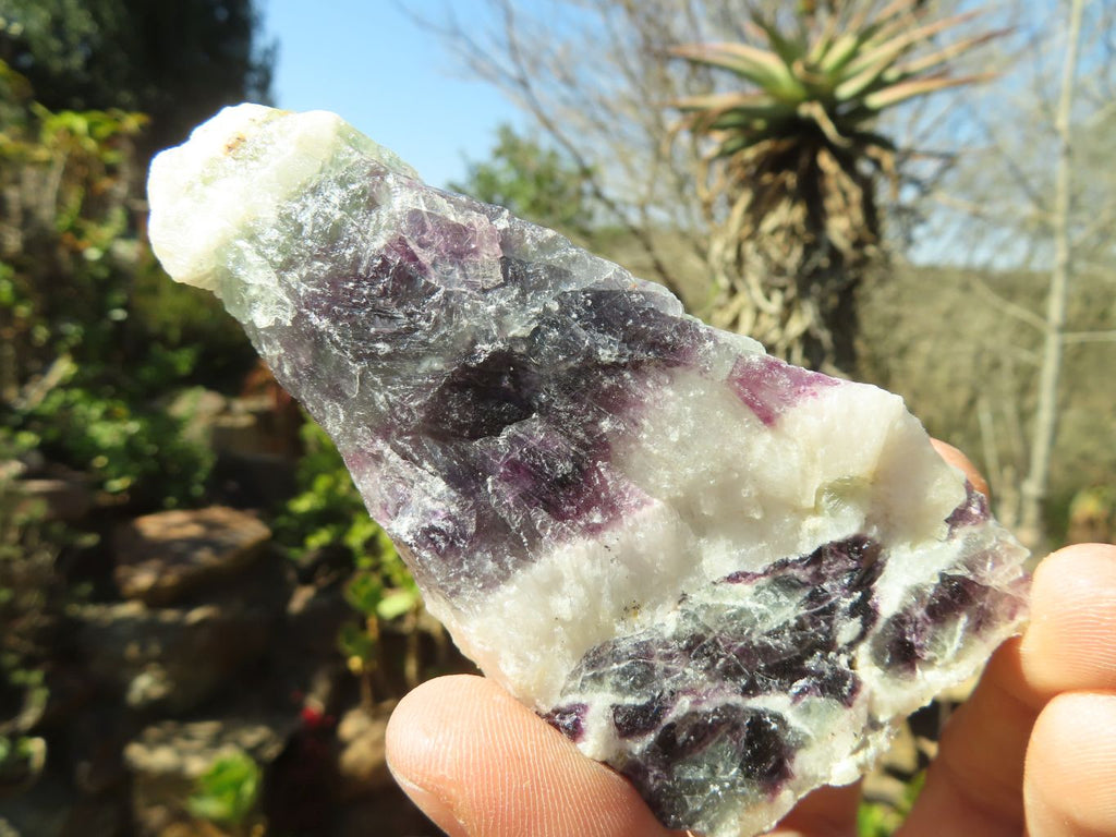 Natural Rough Watermelon Fluorite Cobbed Specimens  x 12 From Uis, Namibia - Toprock Gemstones and Minerals 