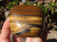 Polished Golden Tigers Eye Free Forms x 3 From Prieska, Northern Cape