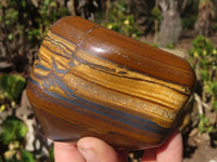 Polished Golden Tigers Eye Free Forms x 3 From Prieska, Northern Cape