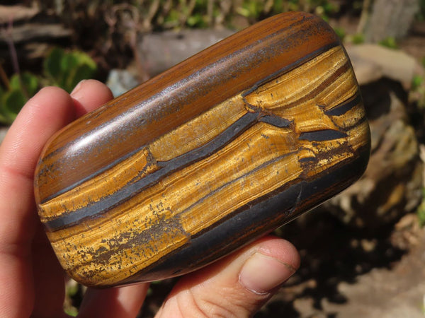 Polished Golden Tigers Eye Free Forms x 3 From Prieska, Northern Cape