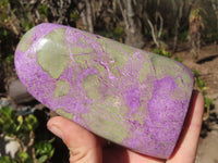 Polished Stichtite & Serpentine Standing Free Forms x 2 From Barberton, South Africa - Toprock Gemstones and Minerals 