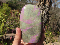 Polished Stichtite & Serpentine Standing Free Forms x 2 From Barberton, South Africa - Toprock Gemstones and Minerals 