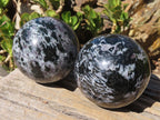 Polished Merlinite Gabbro Spheres  x 2 From Ambatondrazaka, Madagascar - Toprock Gemstones and Minerals 