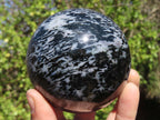 Polished Merlinite Gabbro Spheres  x 2 From Ambatondrazaka, Madagascar - Toprock Gemstones and Minerals 
