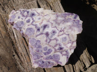 Polished Extra Large Chevron Amethyst Slice x 1 From Zambia