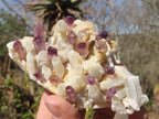 Natural Conglomerate Amethyst Clusters x 6 From Chiredzi, Zimbabwe - Toprock Gemstones and Minerals 