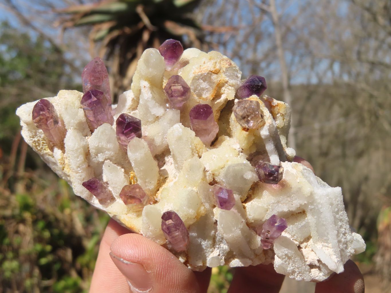 Natural Conglomerate Amethyst Clusters x 6 From Chiredzi, Zimbabwe - Toprock Gemstones and Minerals 