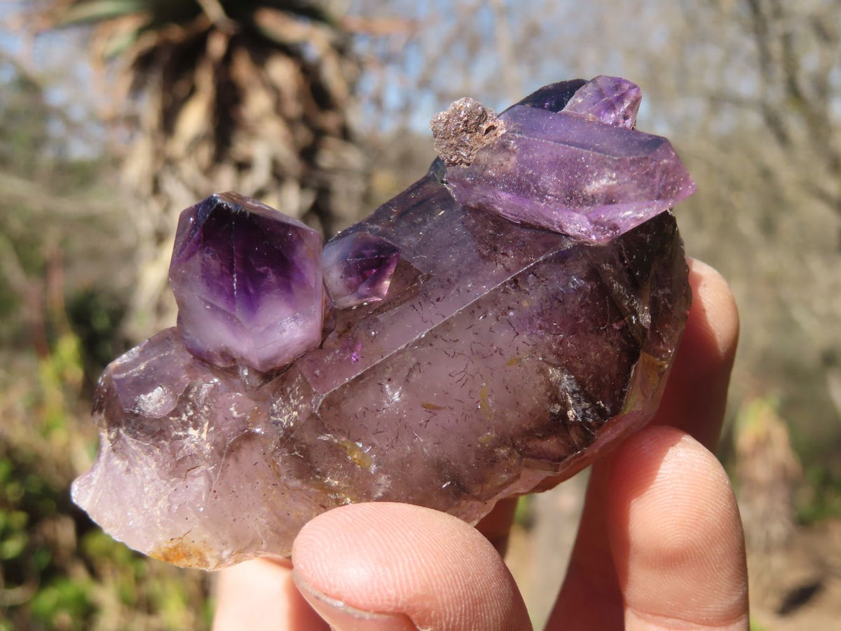 Natural Conglomerate Amethyst Clusters x 6 From Chiredzi, Zimbabwe - Toprock Gemstones and Minerals 