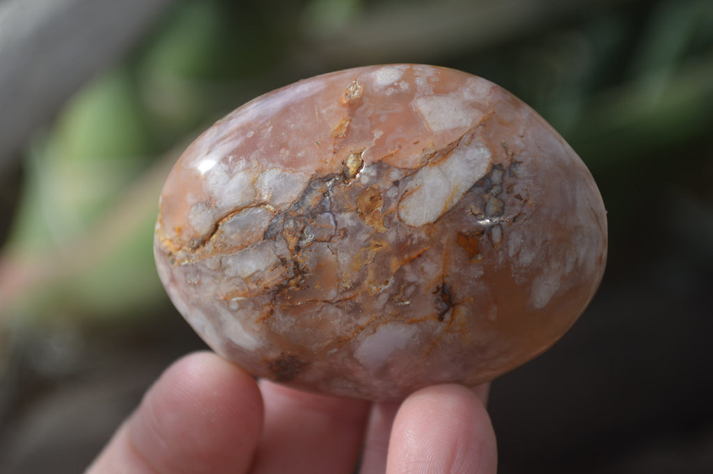 Polished Ocean Flower Agate Gallets  x 13 From Madagascar - Toprock Gemstones and Minerals 