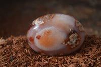 Polished Ocean Flower Agate Gallets  x 13 From Madagascar - Toprock Gemstones and Minerals 