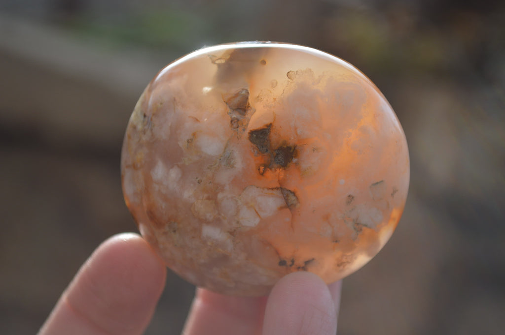 Polished Ocean Flower Agate Gallets  x 13 From Madagascar - Toprock Gemstones and Minerals 