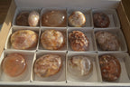 Polished Ocean Flower Agate Gallets  x 13 From Madagascar - Toprock Gemstones and Minerals 
