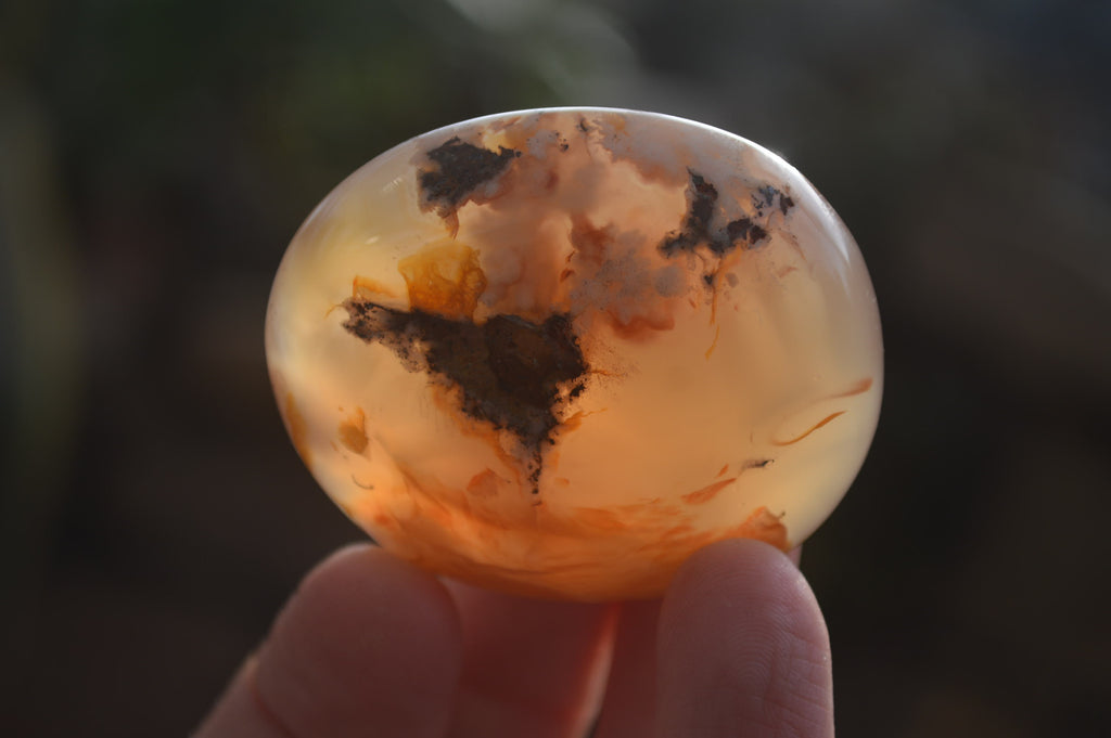 Polished Ocean Flower Agate Gallets  x 13 From Madagascar - Toprock Gemstones and Minerals 