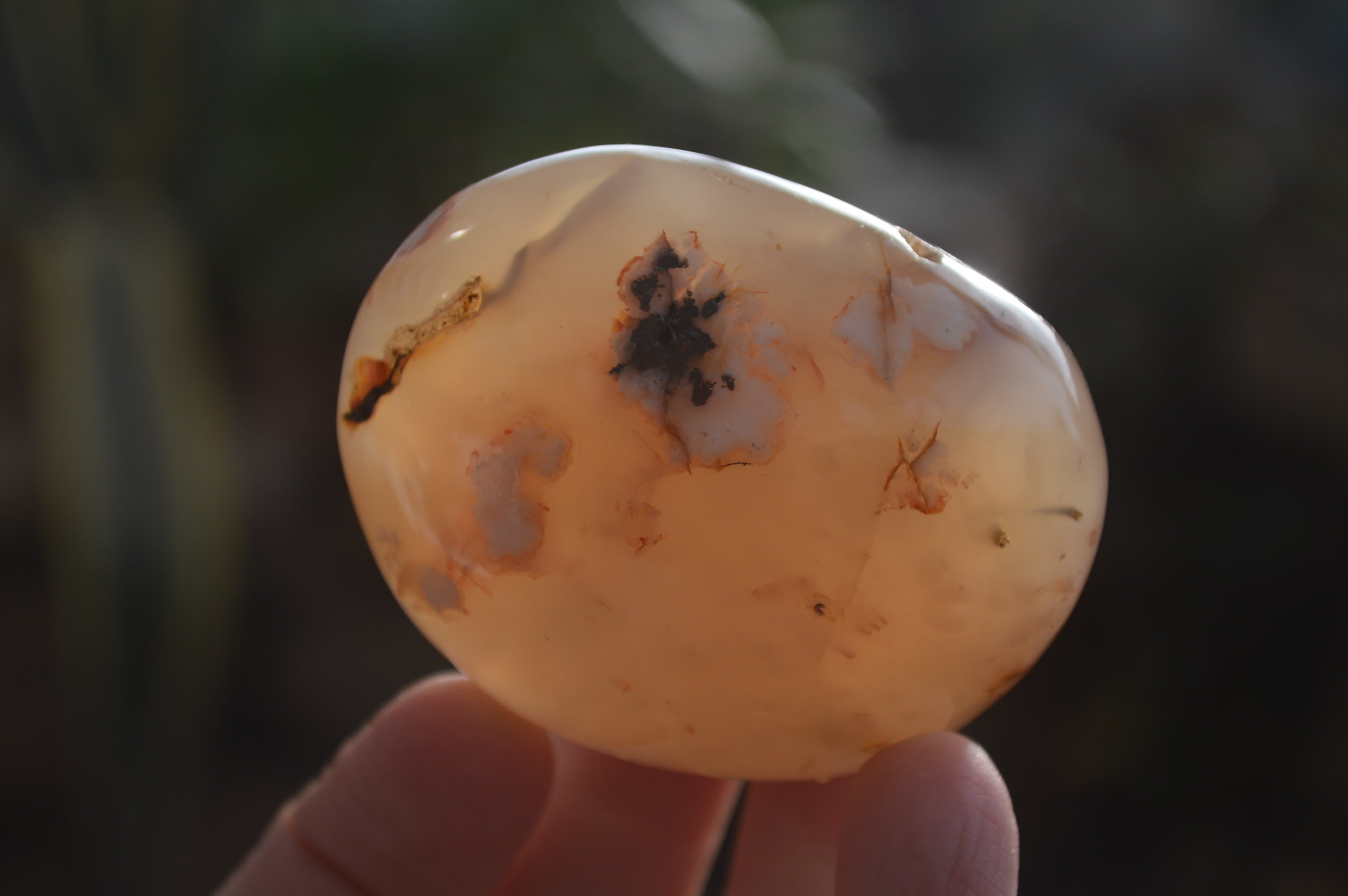 Polished Ocean Flower Agate Gallets  x 13 From Madagascar - Toprock Gemstones and Minerals 