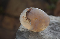 Polished Ocean Flower Agate Gallets  x 13 From Madagascar - Toprock Gemstones and Minerals 
