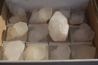 Natural Large Quartz Crystals  x 12 From Madagascar - Toprock Gemstones and Minerals 