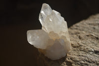 Natural Large Quartz Crystals  x 12 From Madagascar - Toprock Gemstones and Minerals 
