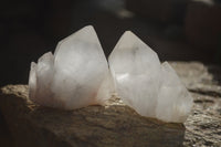 Natural Large Quartz Crystals  x 12 From Madagascar - Toprock Gemstones and Minerals 