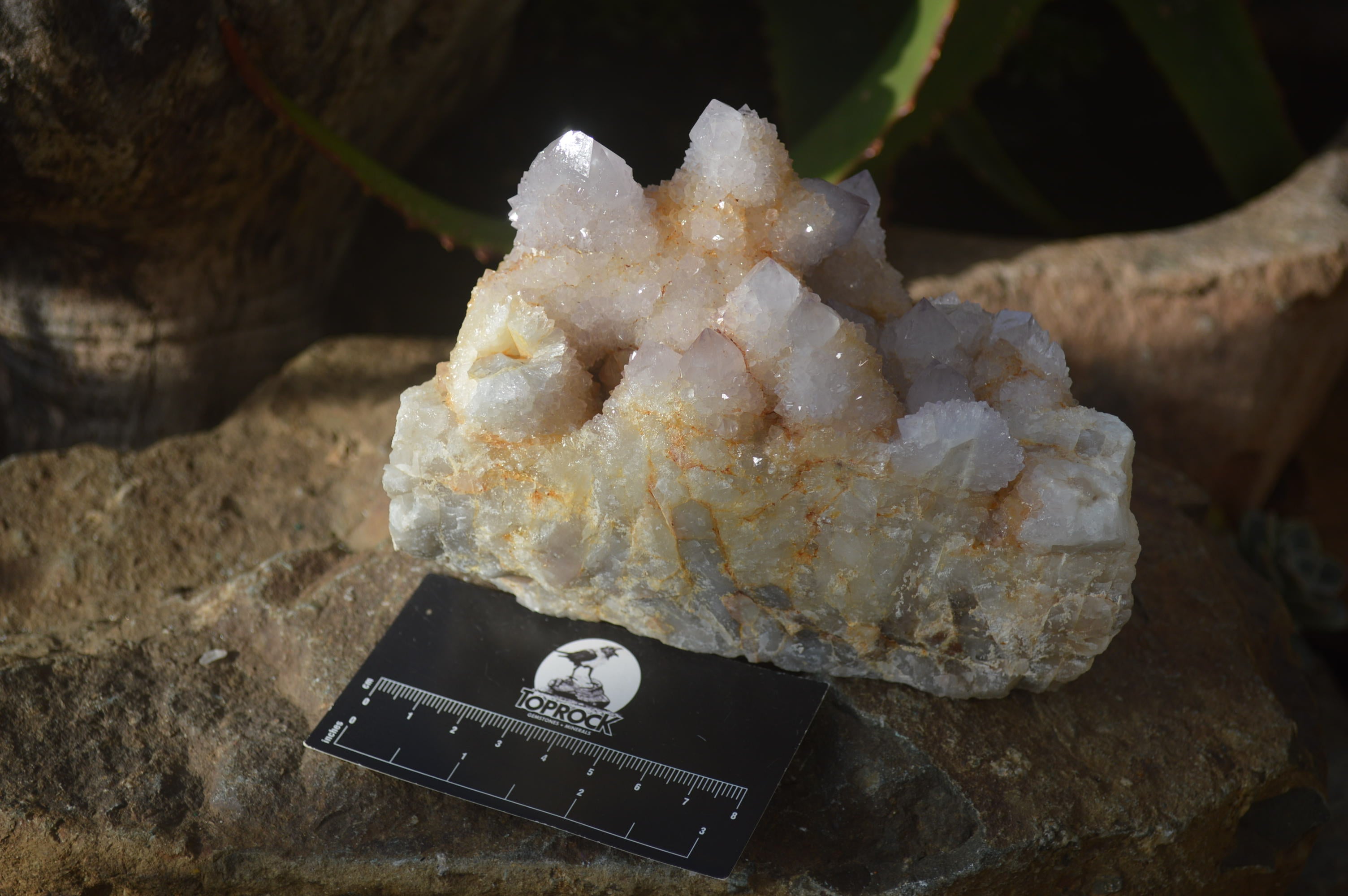 Natural Spirit Quartz Clusters x 2 From Boekenhouthoek, South Africa - Toprock Gemstones and Minerals 