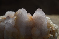 Natural Spirit Quartz Clusters x 2 From Boekenhouthoek, South Africa - Toprock Gemstones and Minerals 