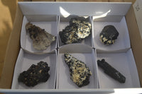 Natural Schorl Black Tourmaline Specimens x 6 From Erongo, Namibia - Toprock Gemstones and Minerals 