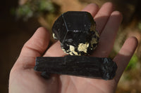 Natural Schorl Black Tourmaline Specimens x 6 From Erongo, Namibia - Toprock Gemstones and Minerals 