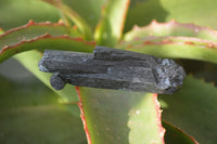 Natural Schorl Black Tourmaline Specimens x 6 From Erongo, Namibia - Toprock Gemstones and Minerals 