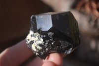 Natural Schorl Black Tourmaline Specimens x 6 From Erongo, Namibia - Toprock Gemstones and Minerals 