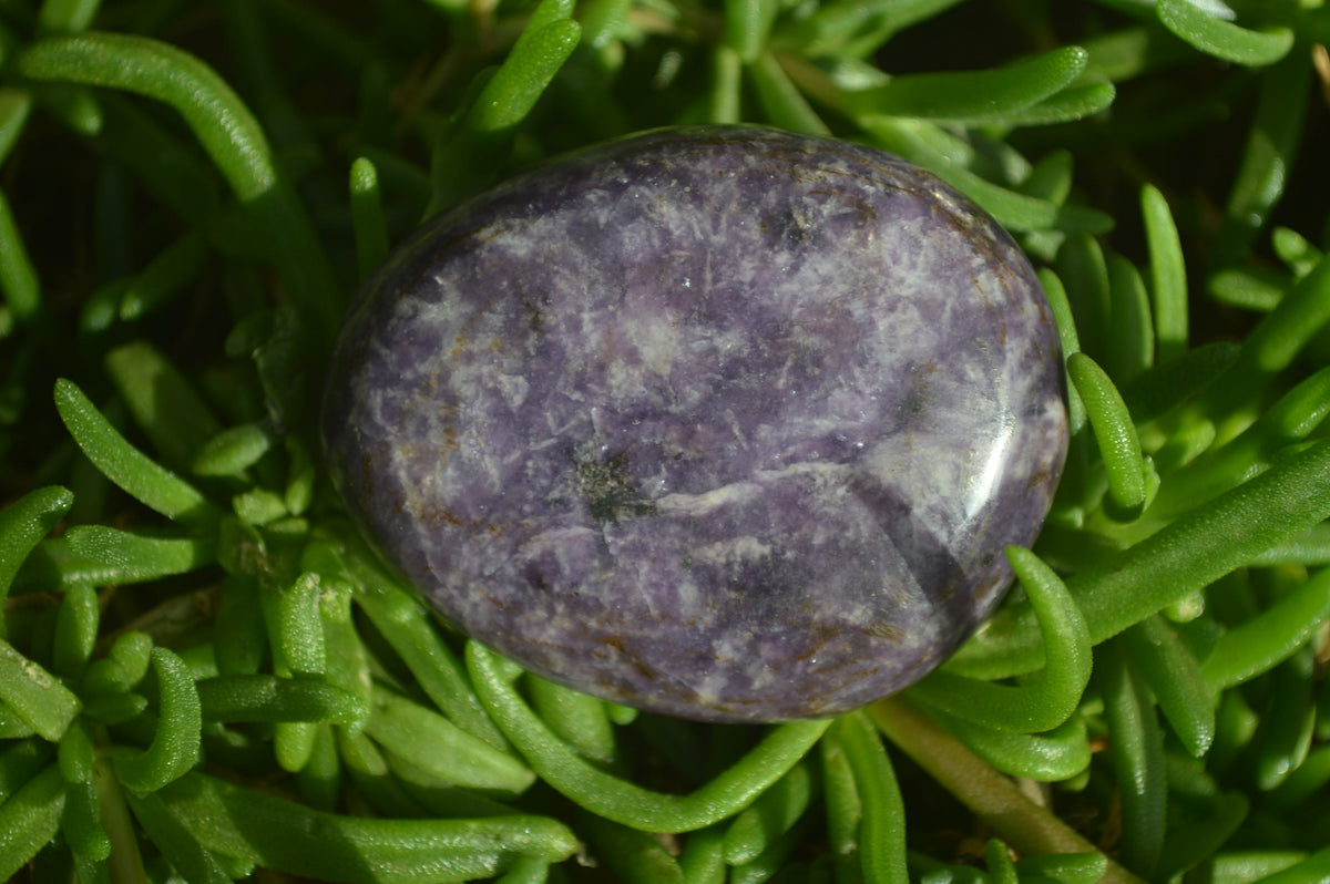Polished Purple Lepidolite Gallets  x 12 From Zimbabwe - Toprock Gemstones and Minerals 