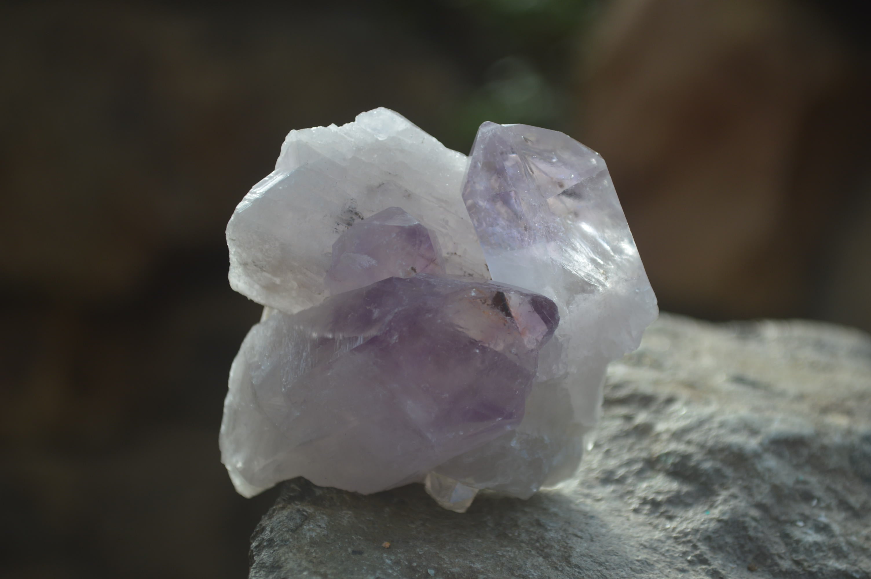 Natural Jacaranda Amethyst Crystals x 12 From Mumbwa, Zambia - Toprock Gemstones and Minerals 
